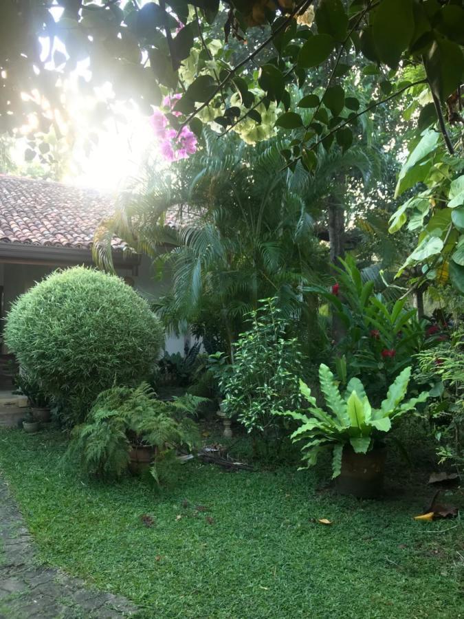 Tangalle Green House Buitenkant foto