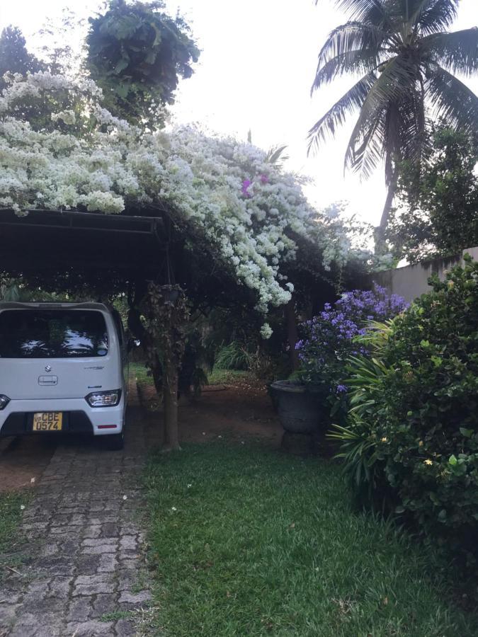 Tangalle Green House Buitenkant foto