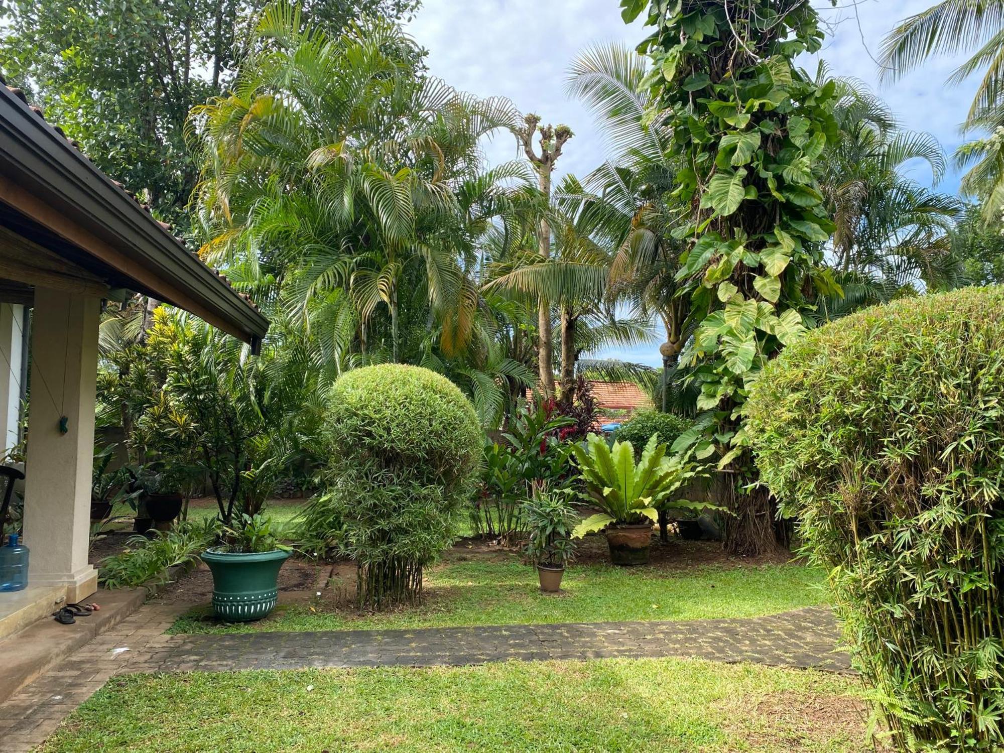 Tangalle Green House Buitenkant foto