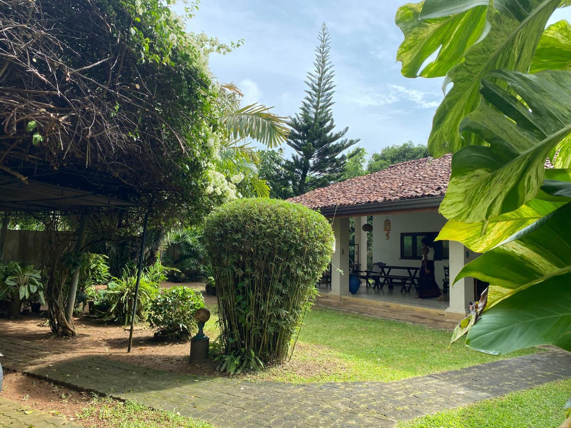 Tangalle Green House Buitenkant foto
