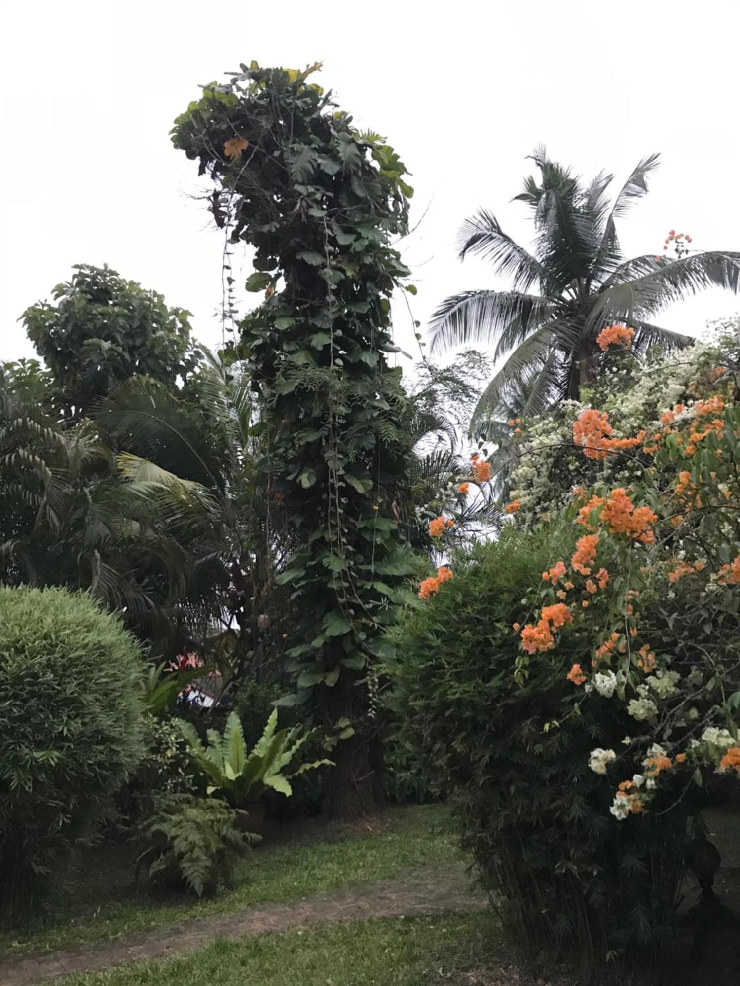 Tangalle Green House Buitenkant foto