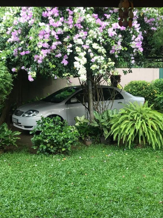 Tangalle Green House Buitenkant foto